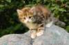 img_8804_small.jpg