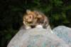 img_8841_small.jpg