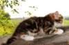 img_8863_small.jpg