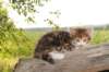 img_8864_small.jpg