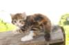 img_8874_small.jpg