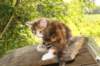 img_8877_small.jpg