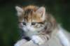 img_8915_small.jpg