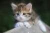 img_8917_small.jpg