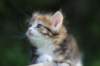 img_8920_small.jpg