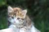 img_8921_small.jpg