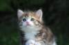 img_8923_small.jpg