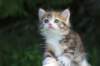 img_8924_small.jpg