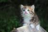 img_8925_small.jpg