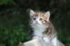img_8926_small.jpg