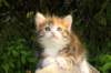 img_8930_small.jpg