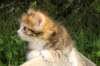 img_8936_small.jpg