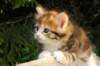 img_8937_small.jpg