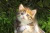 img_8943_small.jpg