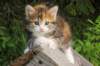 img_8949_small.jpg