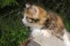 img_8951_small.jpg