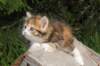 img_8952_small.jpg