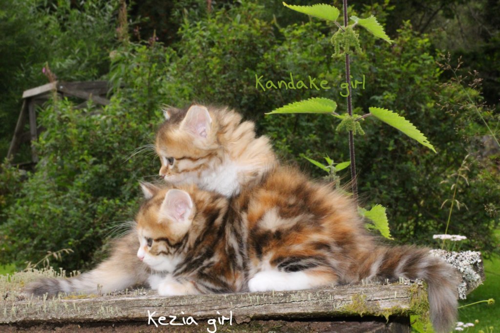 keziaandkandake.jpg