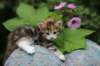 img_7579_small.jpg