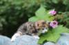 img_7591_small.jpg