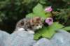 img_7592_small.jpg