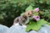 img_7594_small.jpg