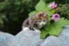 img_7599_small.jpg