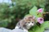 img_7609_small.jpg