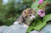 img_7615_small.jpg
