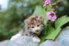 img_7624_small.jpg