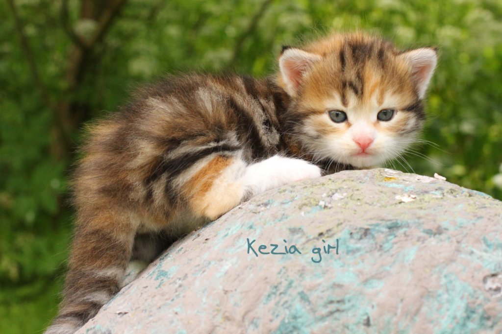 keziaimg_6722.jpg