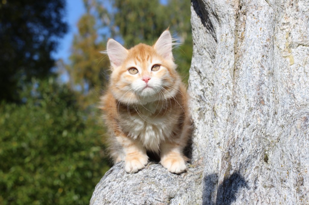 kishiimg_20931.jpg
