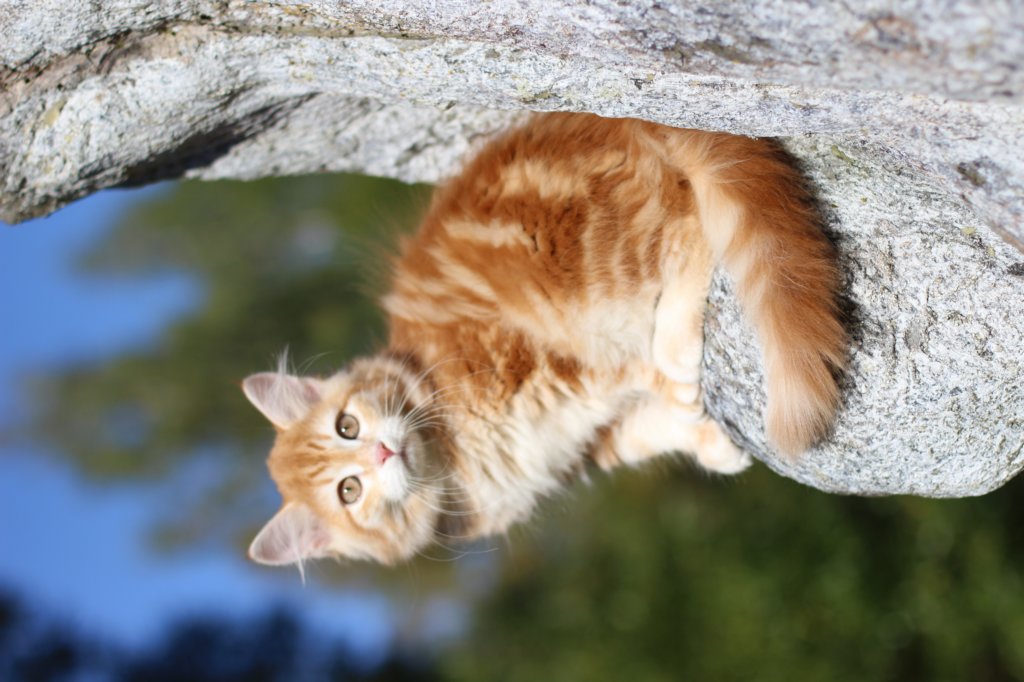 kishiimg_209315.jpg