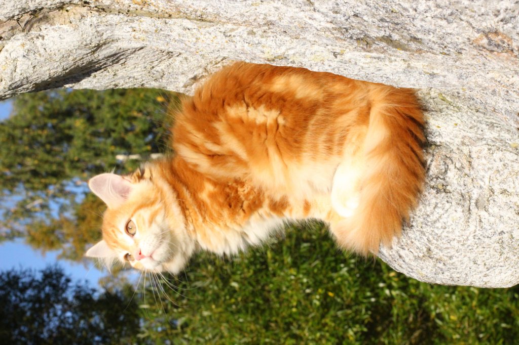 kishiimg_209327.jpg