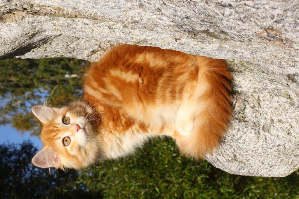 kishiimg_209330.jpg