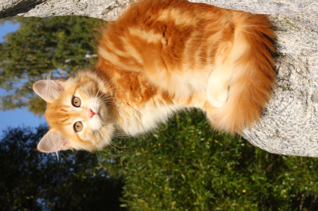 kishiimg_209333.jpg