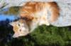 kishiimg_209342_small.jpg