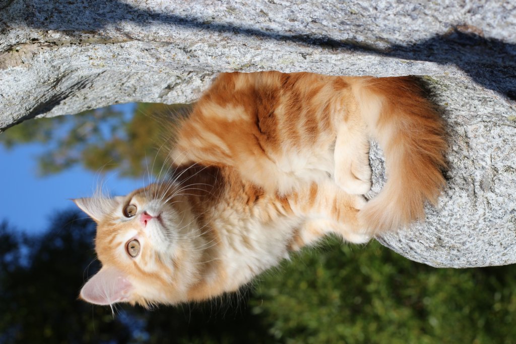 kishiimg_209343.jpg