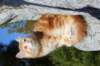 kishiimg_209343_small.jpg