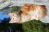 kishiimg_209344_small.jpg
