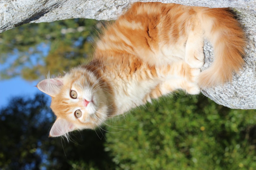 kishiimg_209346.jpg