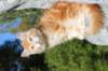 kishiimg_209346_small.jpg