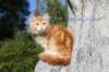 kishiimg_209348_small.jpg