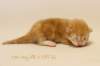 kishiimg_6077_small.jpg