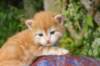 img_7326_small.jpg