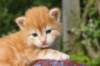 img_7327_small.jpg