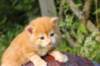 img_7331_small.jpg