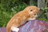 img_7334_small.jpg