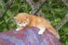 img_7338_small.jpg