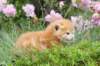 img_7347_small.jpg